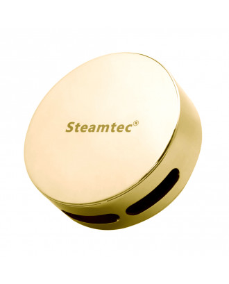 Паровая форсунка - SteamTec Ksa, золотой цвет